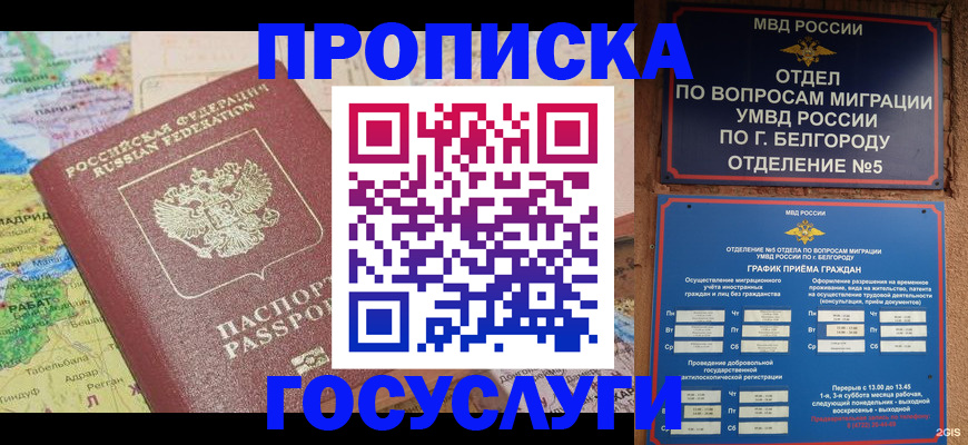 прописка регистрация в Алексине